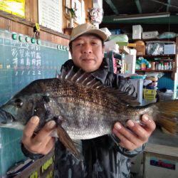 ふじや釣舟店 釣果