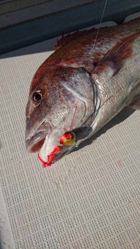 遊漁船ブルーウッズ 釣果