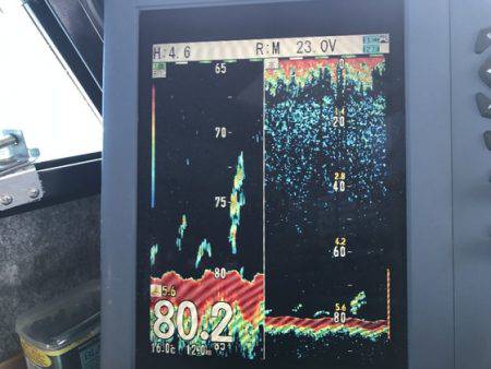 寿裕 （YOSHIHIRO） 釣果