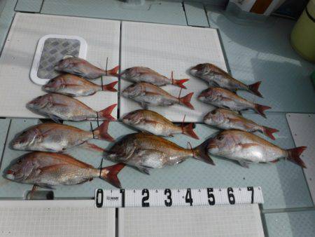 遊漁船 幸友丸 釣果