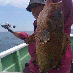 遊漁船 新鋭丸 釣果