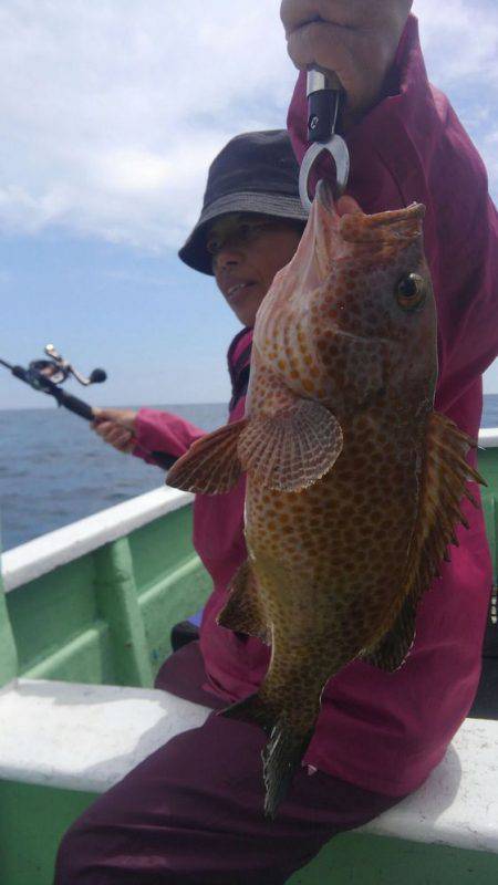 遊漁船 新鋭丸 釣果