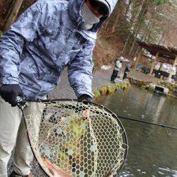 小菅トラウトガーデン 釣果