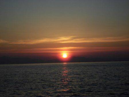 大進丸（新潟） 釣果