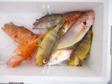 真祐丸 （しんゆうまる） 釣果