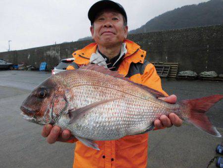 大進丸(新潟) 釣果