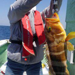 遊漁船 新鋭丸 釣果