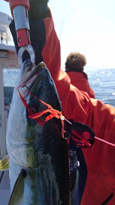 遊漁船ブルーウッズ 釣果