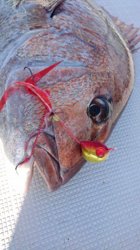 遊漁船ブルーウッズ 釣果