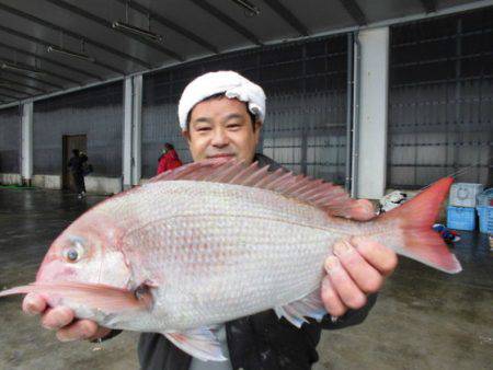 大進丸(新潟) 釣果
