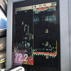 寿裕 （YOSHIHIRO） 釣果