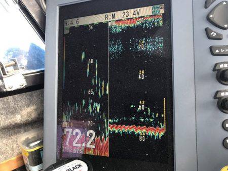 寿裕 （YOSHIHIRO） 釣果