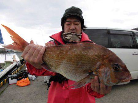 大進丸(新潟) 釣果