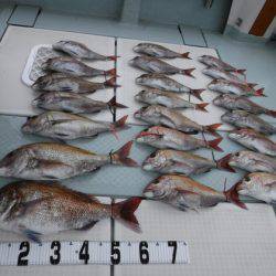 遊漁船 幸友丸 釣果