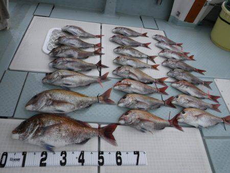 遊漁船 幸友丸 釣果