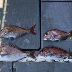 遊漁船高橋 釣果