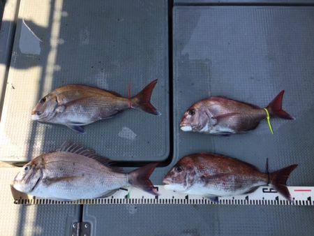 遊漁船高橋 釣果