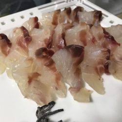 寿裕 （YOSHIHIRO） 釣果