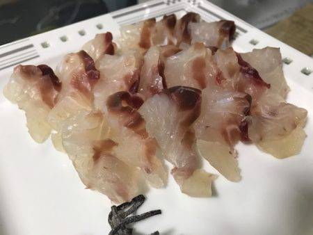 寿裕 （YOSHIHIRO） 釣果