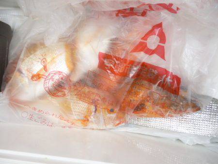 真祐丸 （しんゆうまる） 釣果