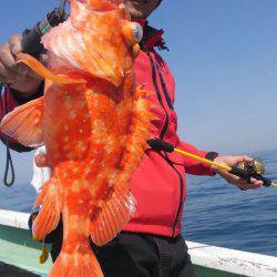 遊漁船 新鋭丸 釣果