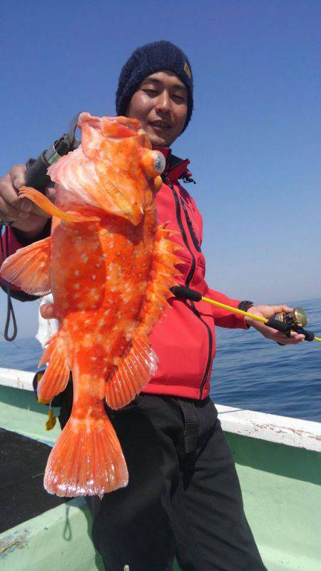 遊漁船 新鋭丸 釣果