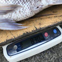 寿裕 （YOSHIHIRO） 釣果