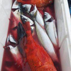 第五慶門丸 釣果