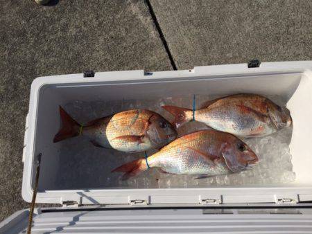 遊漁船高橋 釣果