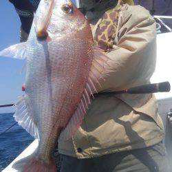 遊漁船 新鋭丸 釣果