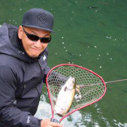 小菅トラウトガーデン 釣果