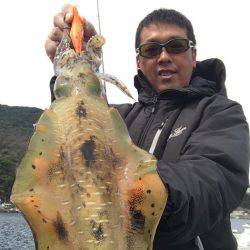 エギングでランガン&深場中心のゲーム展開〜四国西南部エギング【ジャイアン氏連載記事No.08】