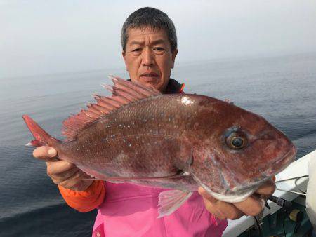 さとみ丸 釣果