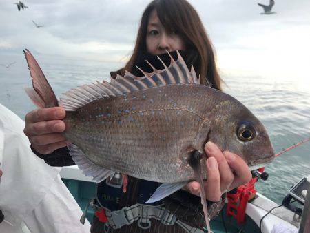 さとみ丸 釣果