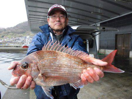 大進丸(新潟) 釣果