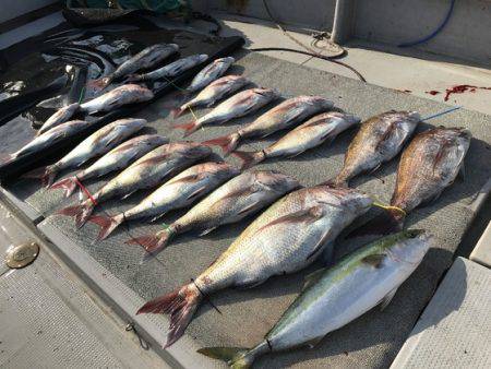 寿裕 （YOSHIHIRO） 釣果