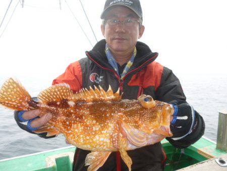 真祐丸 （しんゆうまる） 釣果