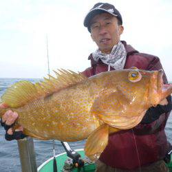 真祐丸 （しんゆうまる） 釣果