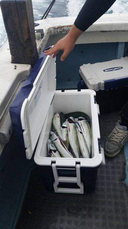 第五慶門丸 釣果