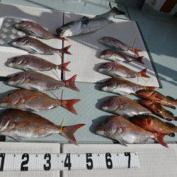 遊漁船 幸友丸 釣果