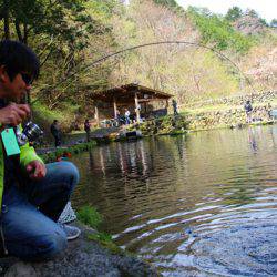 小菅トラウトガーデン 釣果