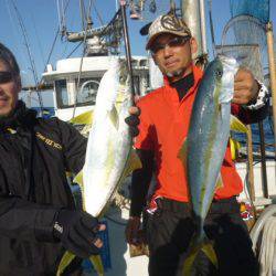 真祐丸 （しんゆうまる） 釣果