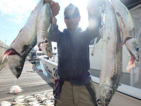 美里丸 釣果