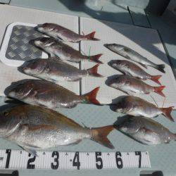 遊漁船 幸友丸 釣果