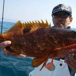 海晴丸 釣果
