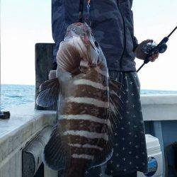 第五慶門丸 釣果