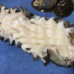 寿裕 （YOSHIHIRO） 釣果