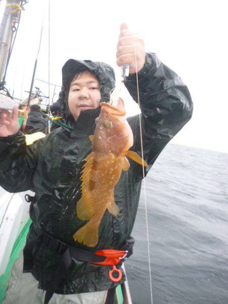 真祐丸 (しんゆうまる) 釣果