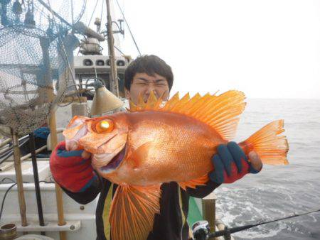 真祐丸 （しんゆうまる） 釣果