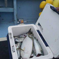 第五慶門丸 釣果